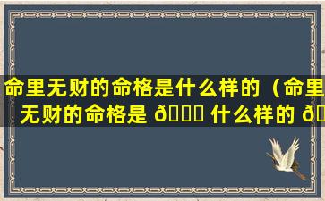 命里无财的命格是什么样的（命里无财的命格是 🐕 什么样的 🌸 人）